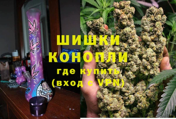 ешки Осинники