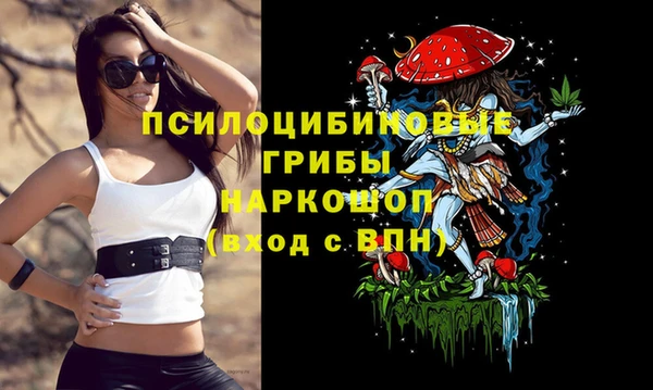 ешки Осинники