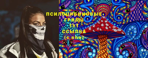 спиды Няндома