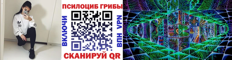Галлюциногенные грибы Cubensis  купить наркотик  Ковылкино 
