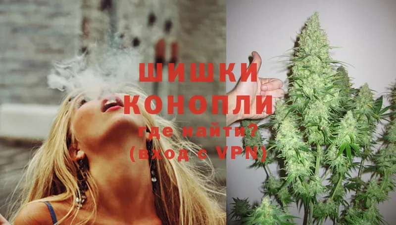 Бошки марихуана Ganja  купить наркоту  Ковылкино 